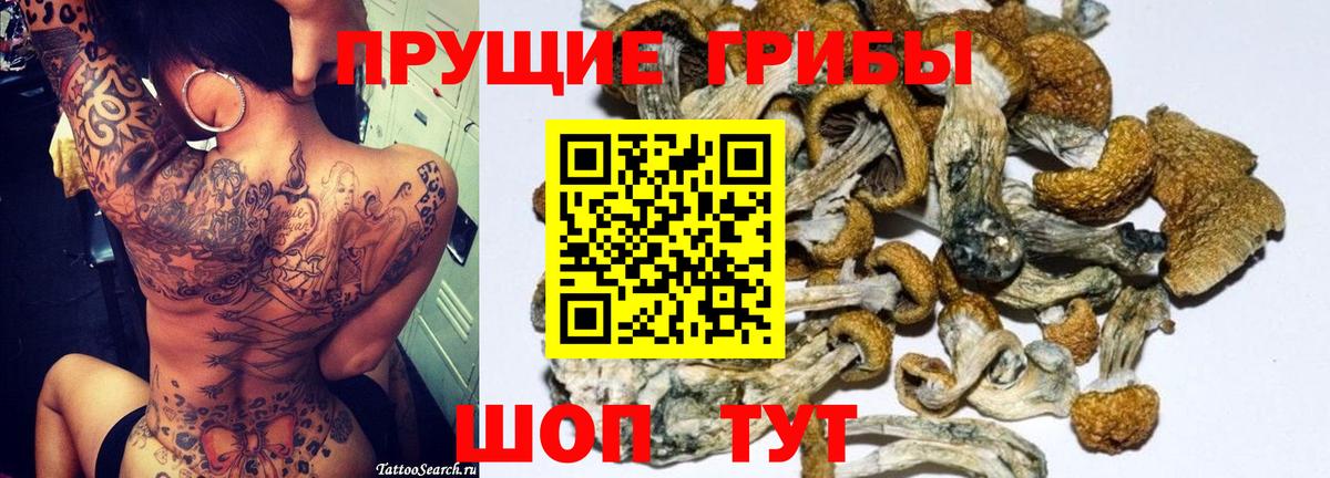Галлюциногенные грибы ЛСД Кострома