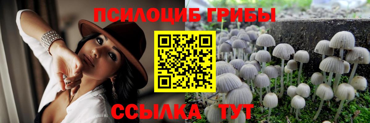 Псилоцибиновые грибы ЛСД  Галлюциногенные грибы ЛСД  Вход с VPN  Кострома 